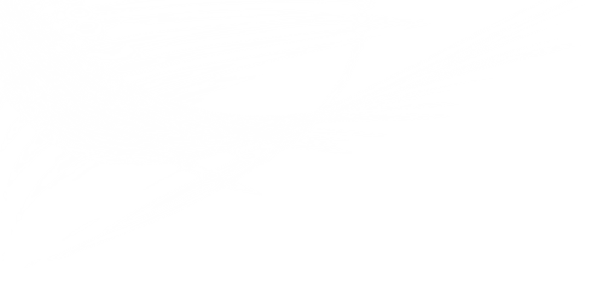 transport logistics company
